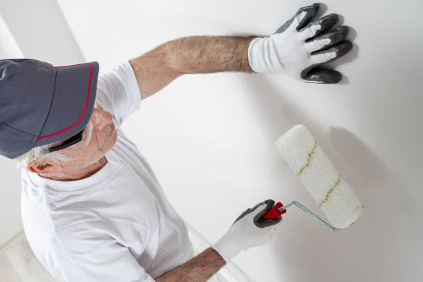 Best HVAC Mold Inspection and Cleaning  in Shawneetown, IL