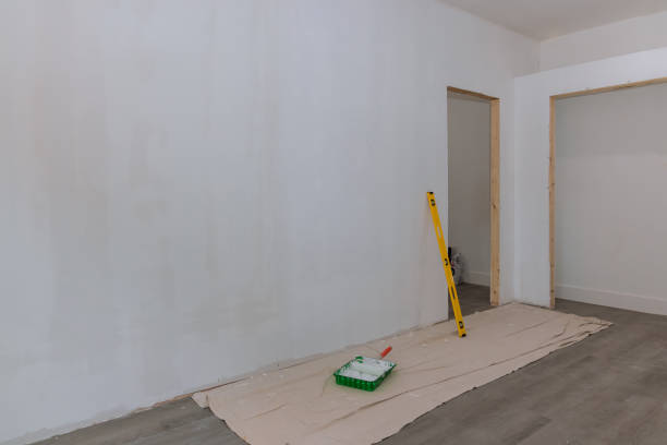 Best Emergency Mold Remediation  in Shawneetown, IL
