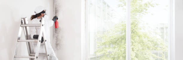 Best Forensic Mold Investigation  in Shawneetown, IL