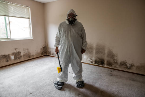 Best Crawl Space Mold Remediation  in Shawneetown, IL