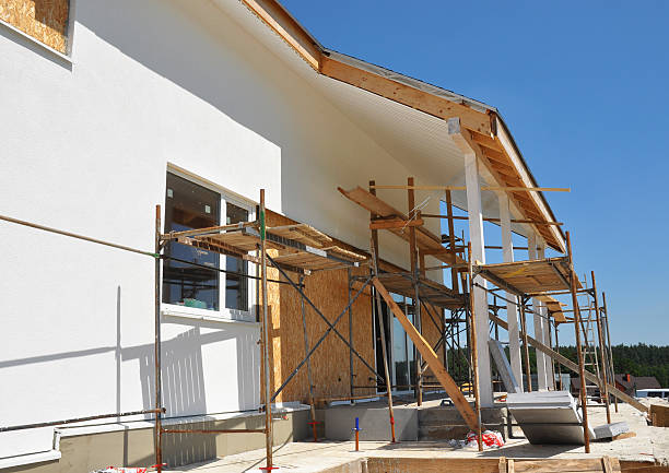 Best Post-Construction Mold Inspection  in Shawneetown, IL